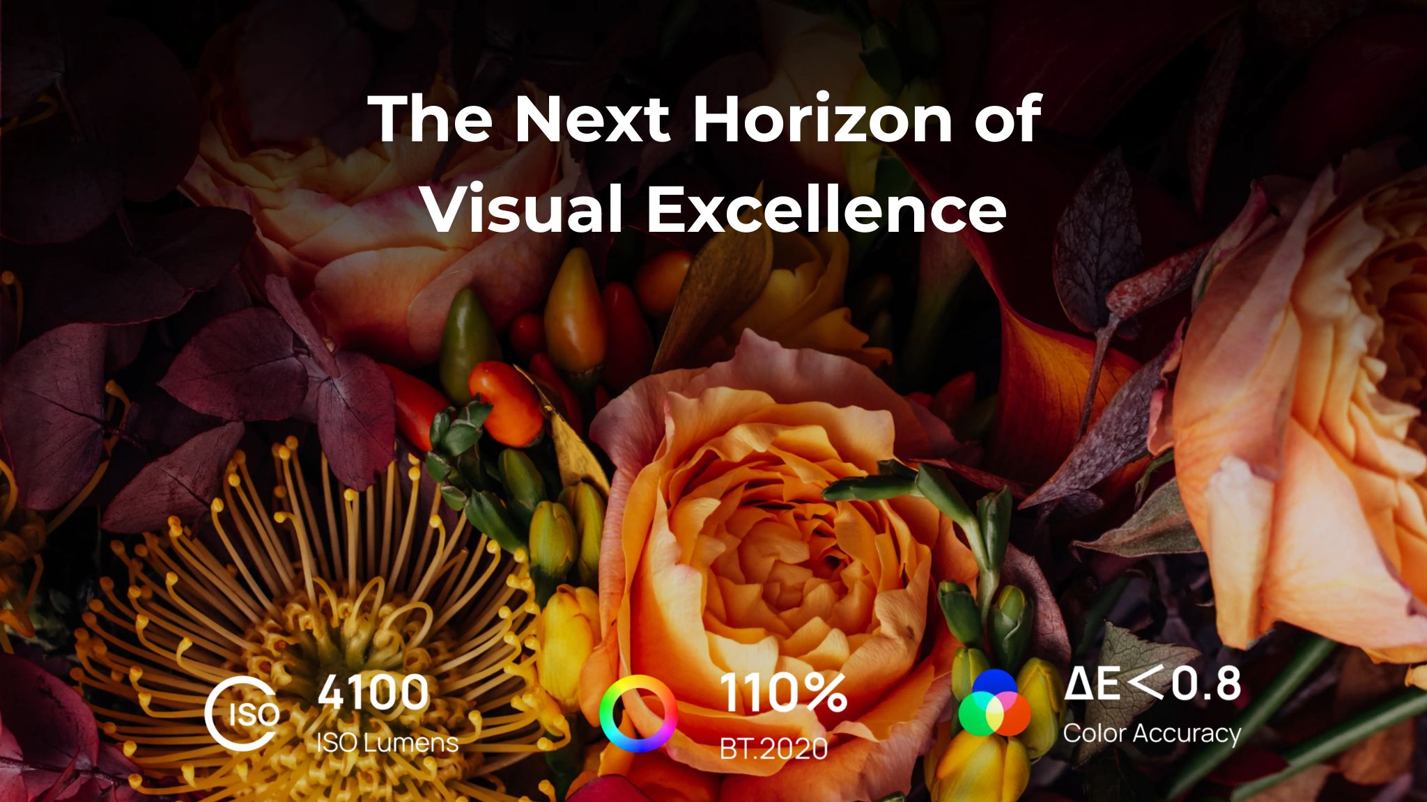 Giới thiệu horizon 20 pro